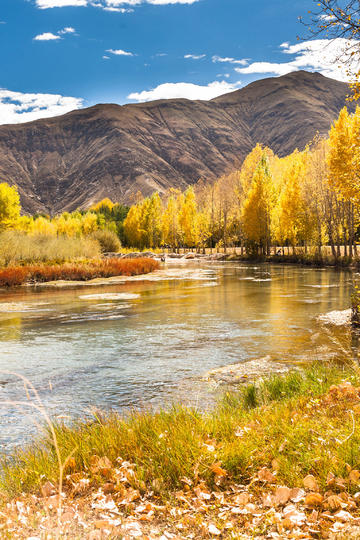 专访苏纳光电：海外工厂建成投产，硅透镜出货2.5亿只，硅电容突破大客户，坚定建设“5T”客户价值