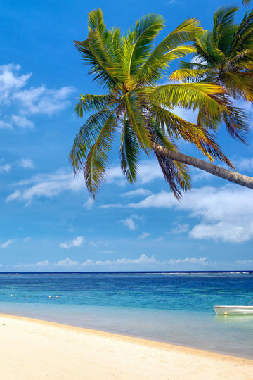 巴方称约50名印度士兵丧生