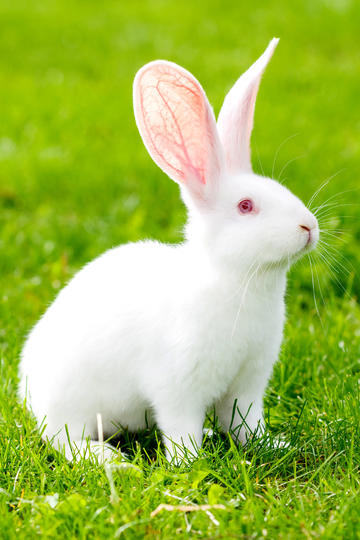 赵子琪说肖战成功是必然的