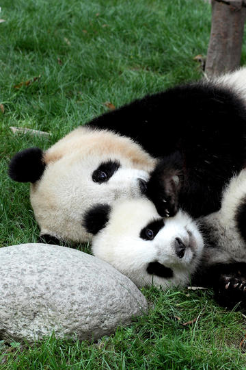 该如何引导女朋友走出「由于原生家庭带来的自卑」？