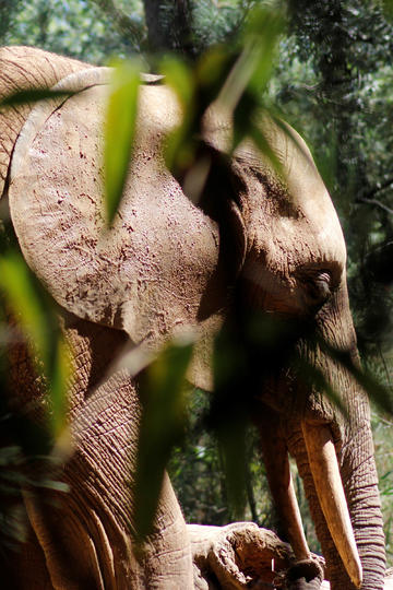 美媒画图说明美家庭离不开中国制造