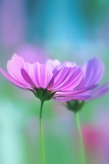 西门子西班牙总裁乘坐直升机坠河，机上六人全部遇难，事故产生的原因是什么？「直升机空难」为何如此严重？