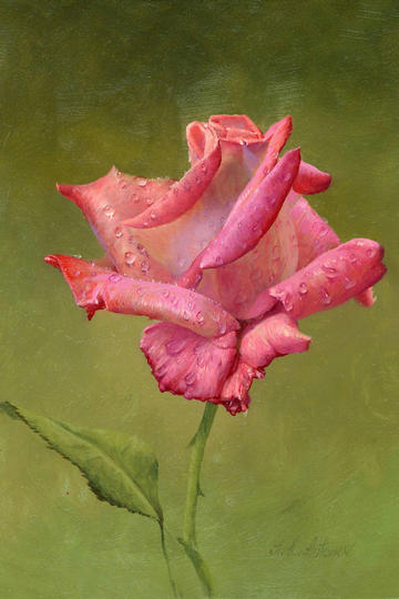 魏哲鸣就这样摇头摇到我心里了