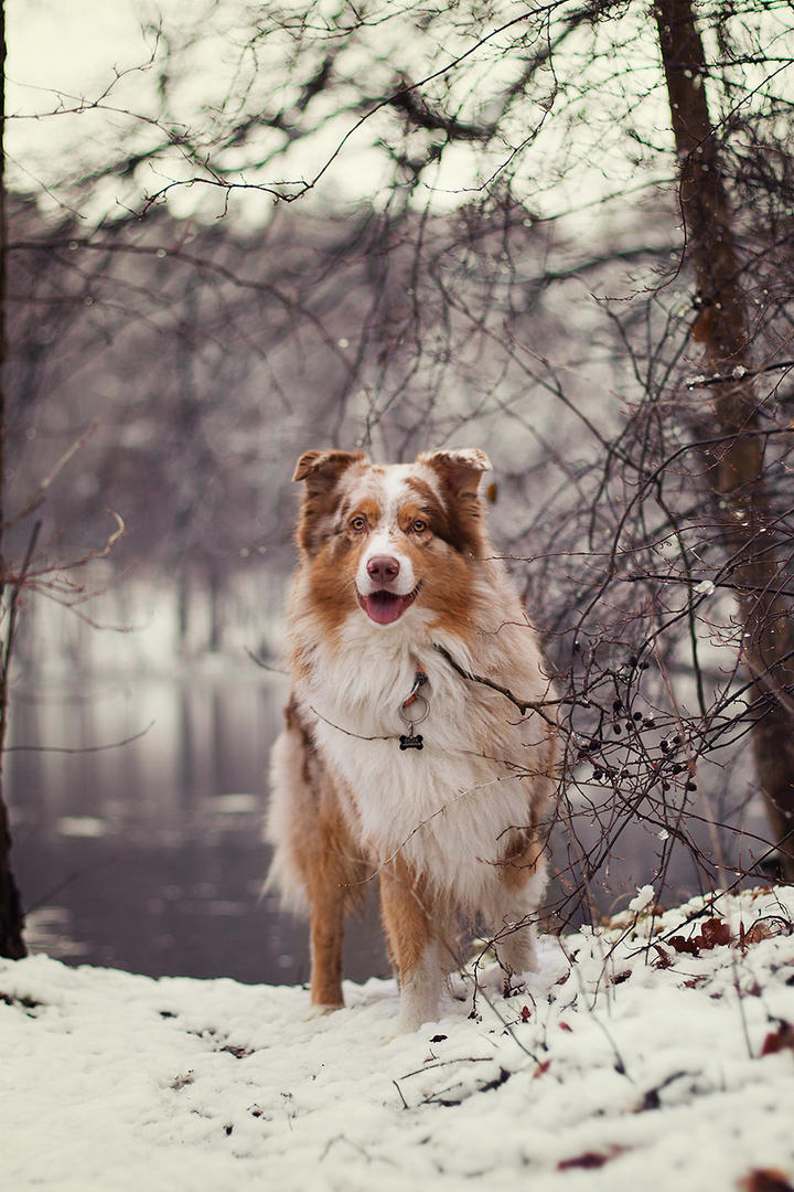广东一海滩黑水入海 当地回应