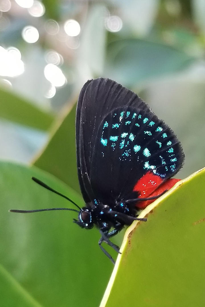 【夜听】世界再大，也不如有人等你回家