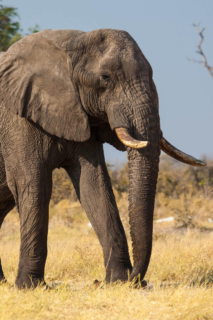 四大证券报头版头条内容精华摘要_2025年5月6日_财经新闻